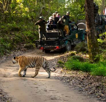 Corbett Jeep Safari, Jim Corbett Natinal Park