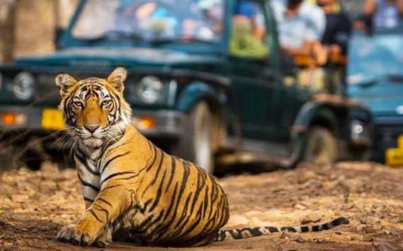 Sonanadi Safari Zone, Jim Corbett National Park