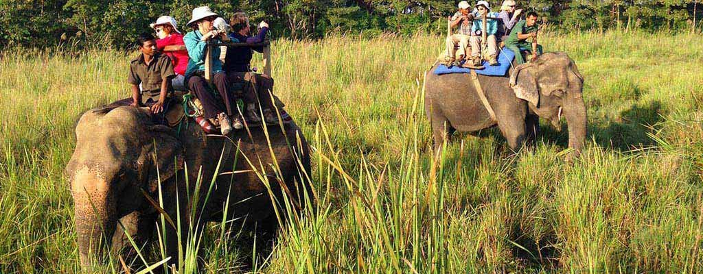 Book Elephant Safari In Corbett National Park, Online Elephant ...