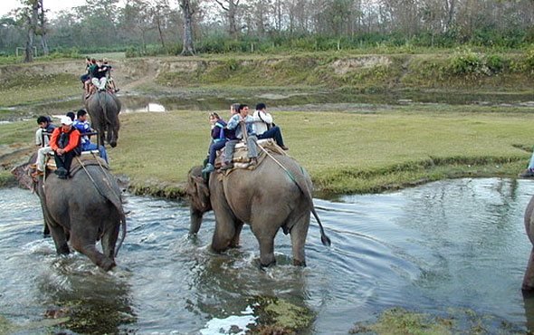 Elephant Safari Online Booking in Jim Corbett National Park